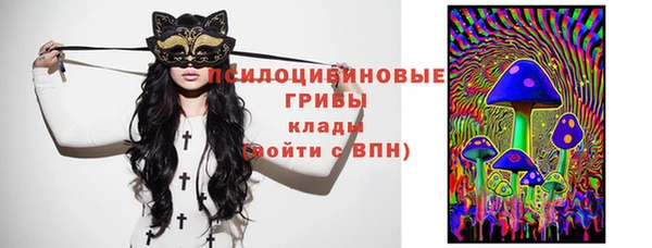 ПСИЛОЦИБИНОВЫЕ ГРИБЫ Абинск