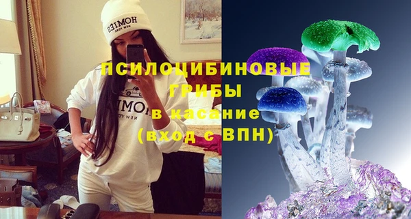 ПСИЛОЦИБИНОВЫЕ ГРИБЫ Абинск