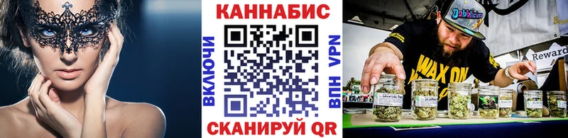 Канабис семена  Сусуман 